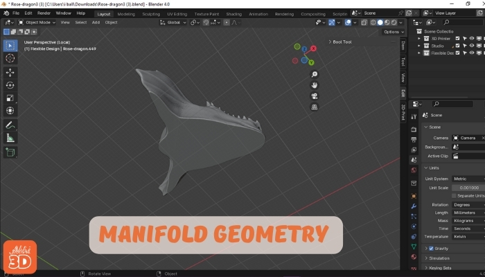 Manifold Geometry in Blender